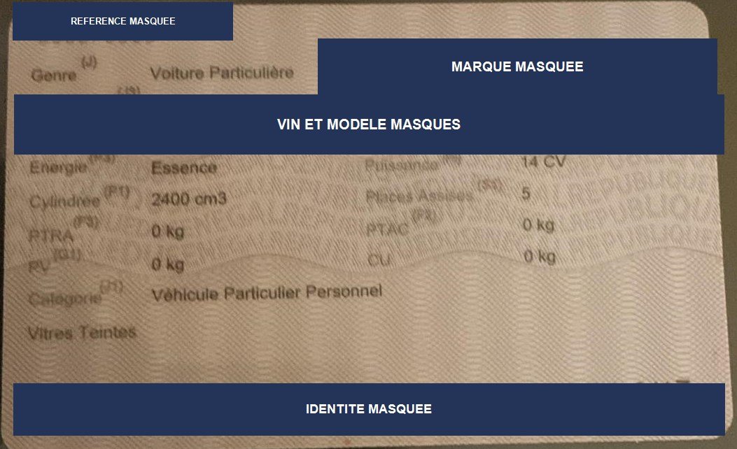 Exemple de carte grise, VIN et identifiants masqués